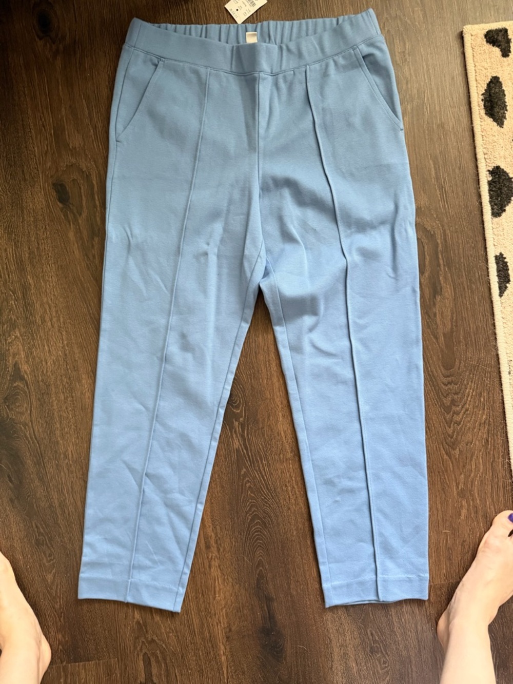 J. Crew Light Blue Cropped Pleat-Front Women's Pants